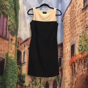 Ann Taylor Work Dress Black and Beige  4P